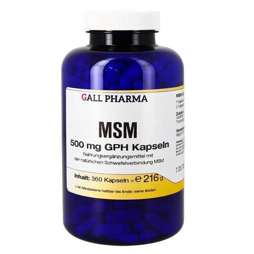 MSM 500 mg GPH Kapseln - 1