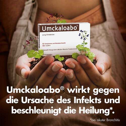 Umckaloabo 20 mg Filmtabletten - 2