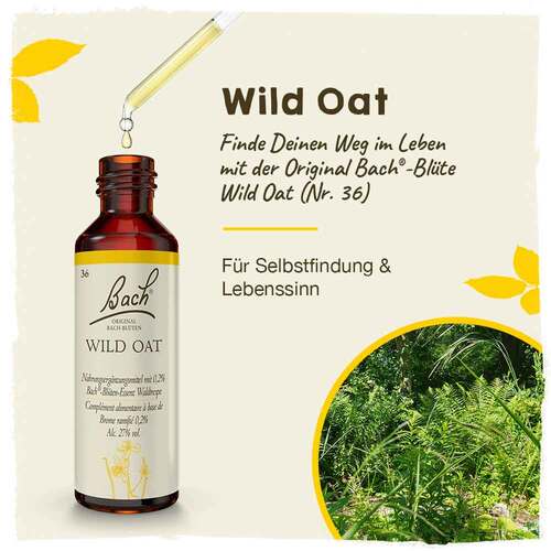 Bachbl&uuml;ten Wild Oat Tropfen - 2
