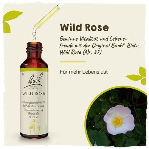 Bachbl&uuml;ten Wild Rose Tropfen - 2