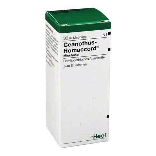 CEANOTHUS-HOMACCORD Liquidum - 1