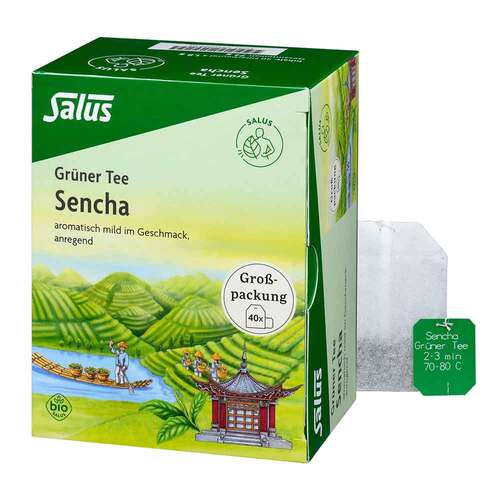 Gr&uuml;ner Tee Bio Salus Filterbeutel Gro&szlig;packung - 1