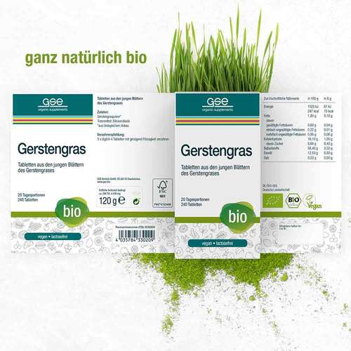 Gse Gerstengras 500 mg kontrolliert biologisch Tab - 2