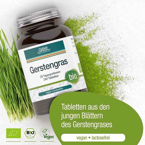 Gse Gerstengras 500 mg kontrolliert biologisch Tab - 3