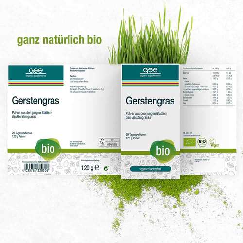 Gse Gerstengras kontrolliert biologisch Pulver - 2