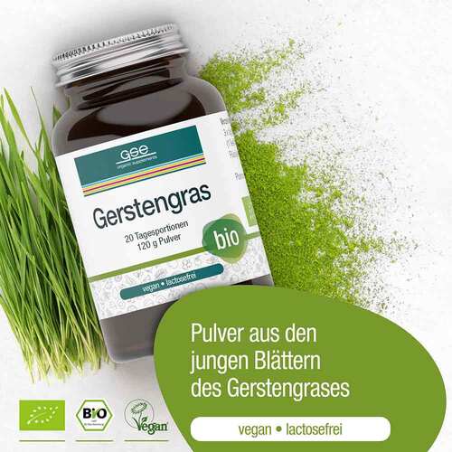 Gse Gerstengras kontrolliert biologisch Pulver - 3