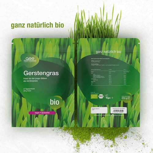Gse Gerstengras kontrolliert biologisch Pulver - 2