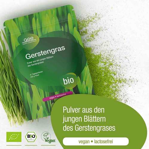 Gse Gerstengras kontrolliert biologisch Pulver - 3