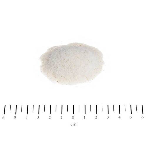 EQUOLYT Biotin Horse Pulver - 2