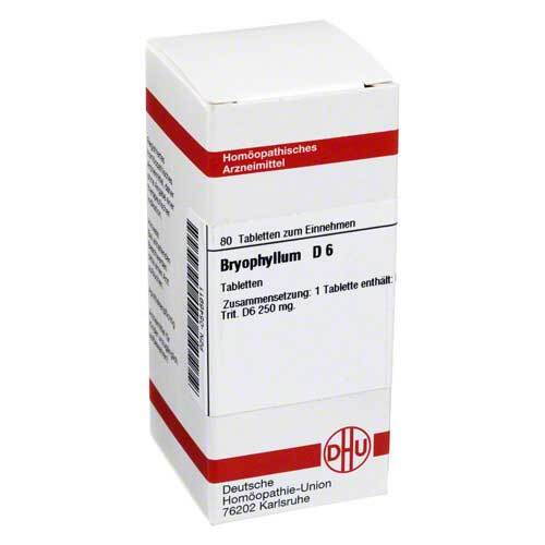 BRYOPHYLLUM D 6 Tabletten - 1