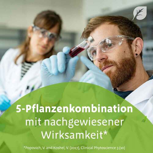 Sinupret Saft - 5