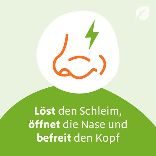 Sinupret Saft - 6