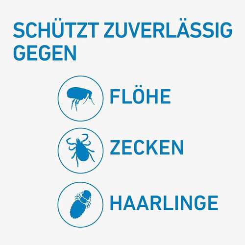 Frontline Spot on H 40 L&ouml;sung f&uuml;r Hunde - 2