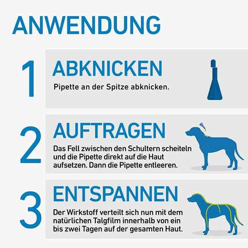Frontline Spot on H 40 L&ouml;sung f&uuml;r Hunde - 3