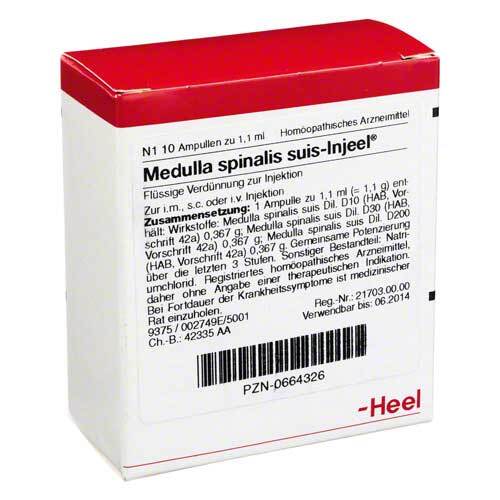 MEDULLA SPINALIS suis Injeel Ampullen - 1
