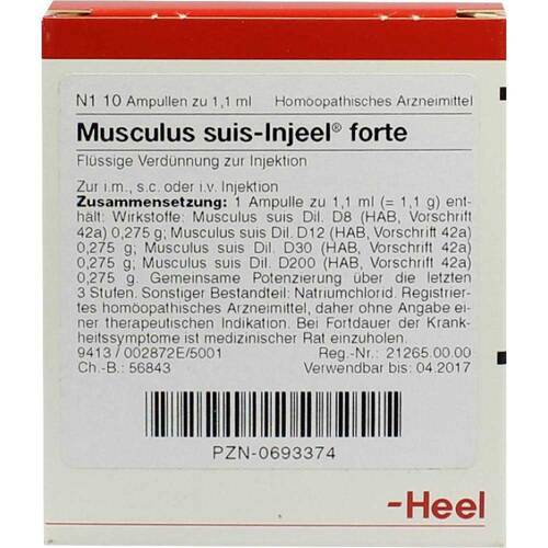 MUSCULUS SUIS Injeel forte Ampullen - 1