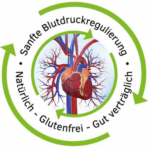 Homviotensin Tropfen zum Einnehmen - 2