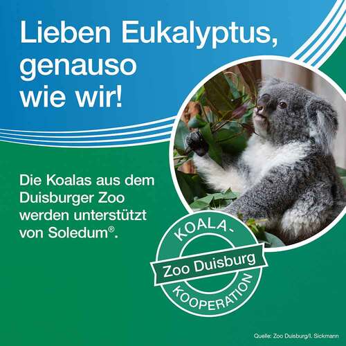Soledum Kapseln forte 200 mg - 7