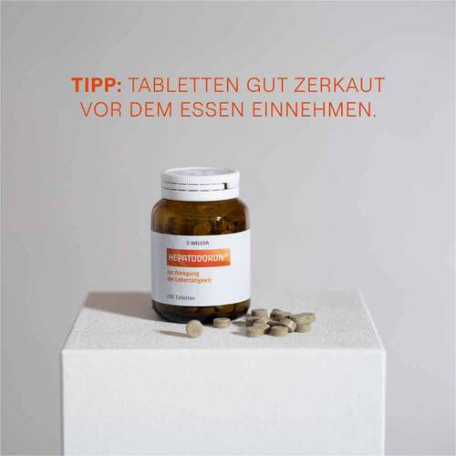 Hepatodoron Tabletten - 7