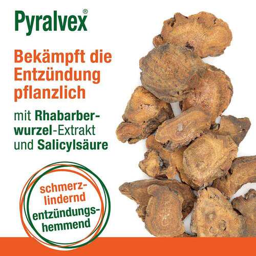 Pyralvex L&ouml;sung - 5