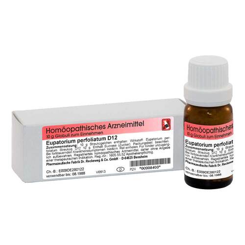 Eupatorium perfoliatum D 12 Globuli - 1