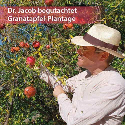 Granatapfel Elixier Dr.Jacob's - 2