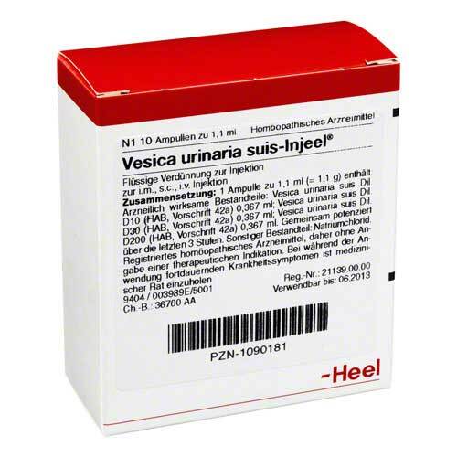 VESICA URINARIA suis-Injeel Ampullen - 1