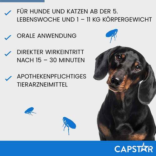 Capstar 11,4 mg Tabletten f&uuml;r Katzen / kleine Hunde - 5