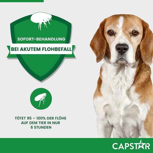 Capstar 57 mg Tabletten f&uuml;r gro&szlig;e Hunde - 4