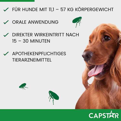 Capstar 57 mg Tabletten f&uuml;r gro&szlig;e Hunde - 5