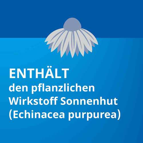 Echinacea Stada Classic 80 g / 100 g L&ouml;sung zum Einnehmen - 4