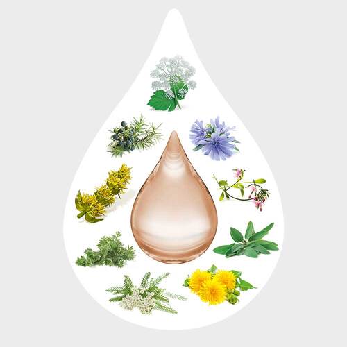 Amara-Tropfen Dilution - 4