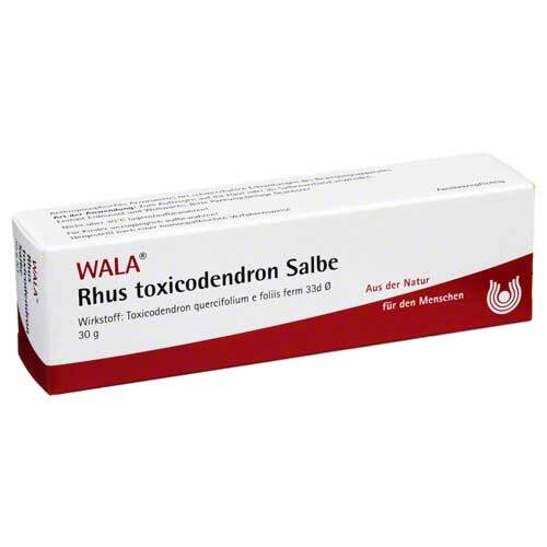 Rhus Toxicodendronicodendron Salbe - 1
