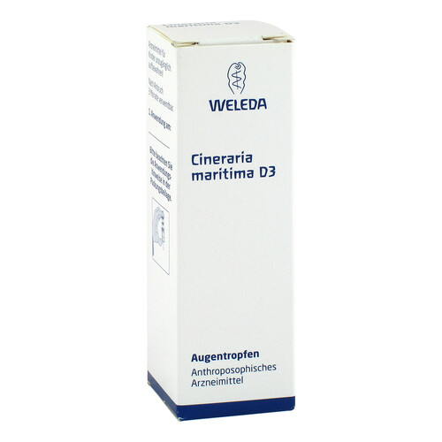 CINERARIA maritima D 3 Augentropfen - 1