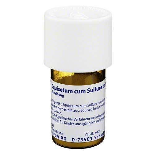 EQUISETUM CUM Sulfure tostum D 6 Trituration - 1