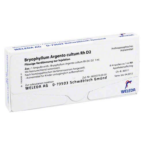BRYOPHYLLUM ARGENTO cultum Rh D 2 Ampullen - 1