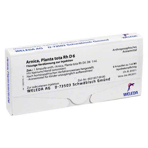 ARNICA PLANTA tota Rh D 6 Ampullen - 1
