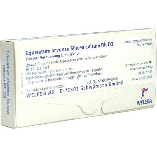 EQUISETUM ARVENSE Silicea cultum D 3 Ampullen - 1
