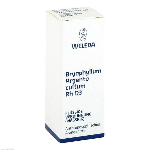 BRYOPHYLLUM ARGENTO cultum Rh D 3 Dilution - 1