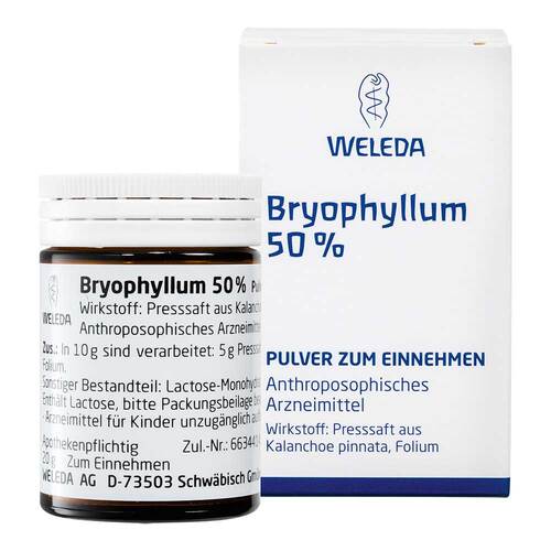 Bryophyllum 50% Pulver zum Einnehmen - 1