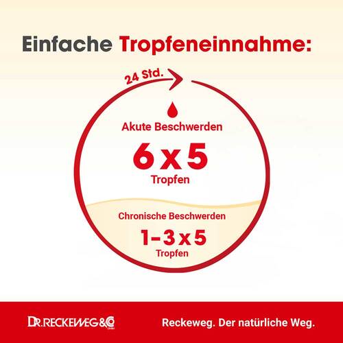 Entero-Gastreu S R4 Mischung - 3