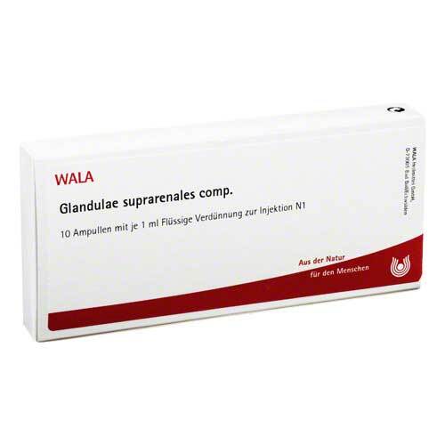 GLANDULAE SUPRARENALES comp.Ampullen - 1