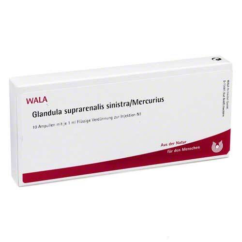 Glandula Suprarenalis sinistra / Mercurius Ampullen - 1
