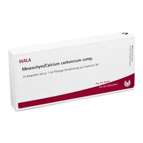 Mesenchym / Calcium carbonicum comp.Ampullen - 1