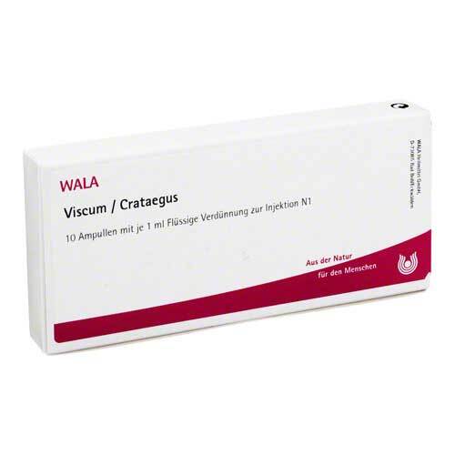 VISCUM CRATAEGUS Ampullen - 1