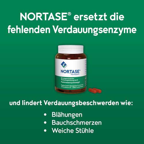Nortase Kapseln - 3