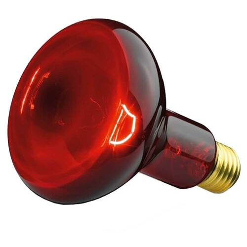 BEURER Gl&uuml;hbirne Infrarotlicht 100W - 1