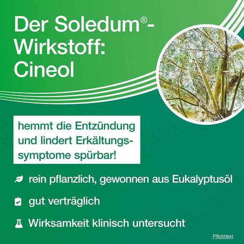 Soledum 100 mg magensaftresistente Kapseln - 4