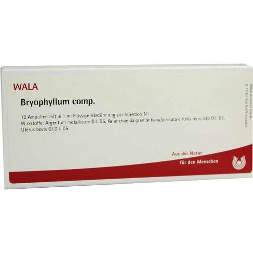 BRYOPHYLLUM COMP.Ampullen - 1