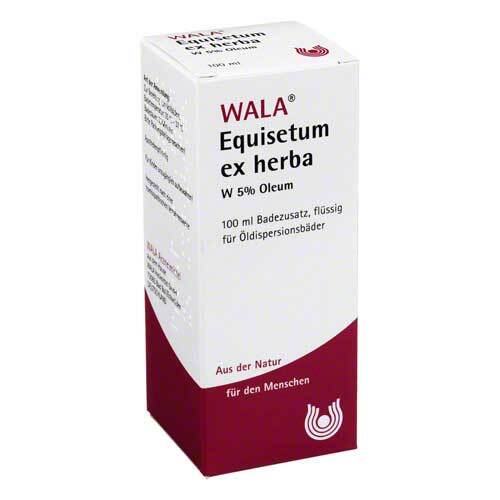 Equisetum ex Herba W 5% Oleum - 1